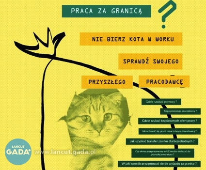 Praca za granicą? Nie bierz kota w worku
