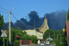 Próbki żywności nieskażone