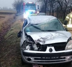 Na jadące auto spadło drzewo