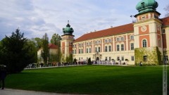 Dzieło Sofonisby Anguissoli pod lupą naukowców