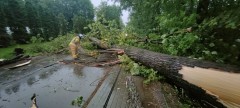 Ponad 200 zgłoszeń po nawałnicy