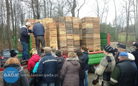 Dzisiaj w Soninie darmowe jabłka