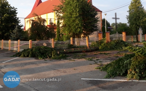 Skutki burzy w Dąbrówkach