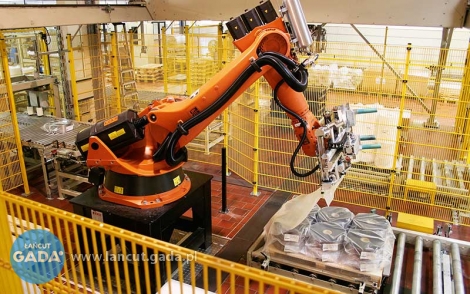 Paletyzacja jednym z najważniejszych działań robotyzacji procesów produkcyjnych