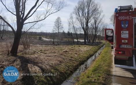 Pożary traw na terenie powiatu