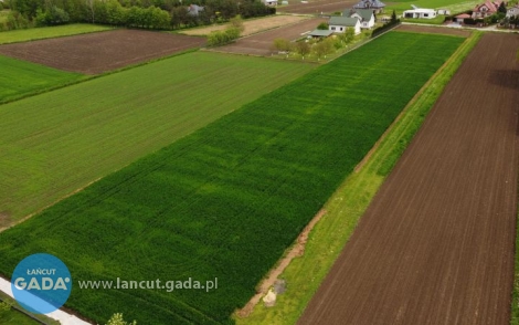 Działki na sprzedaż w Głuchowie