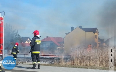 Znowu płoną trawy