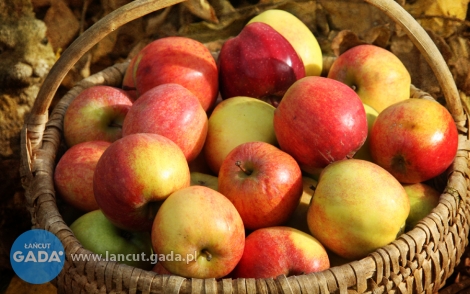 Dziś i jutro darmowe jabłka w Żołyni